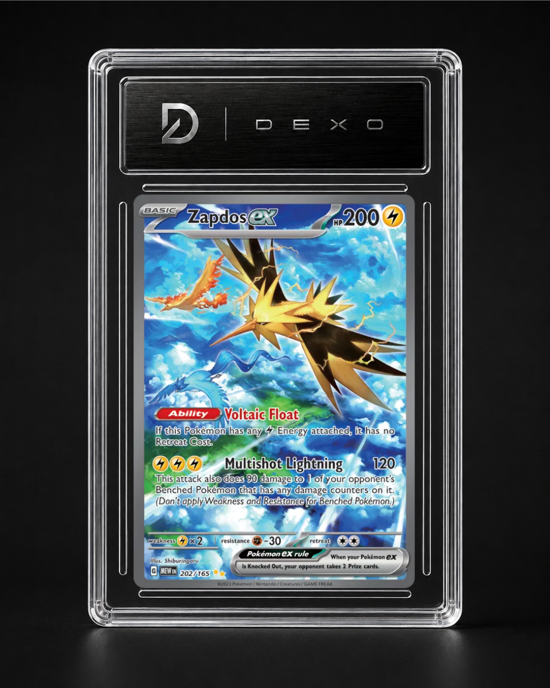 Zapdos ex 202